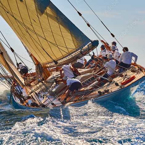 Regatta: Protection and Quality for Your Outdoor Adventures