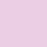 Y1 - Classic Pink