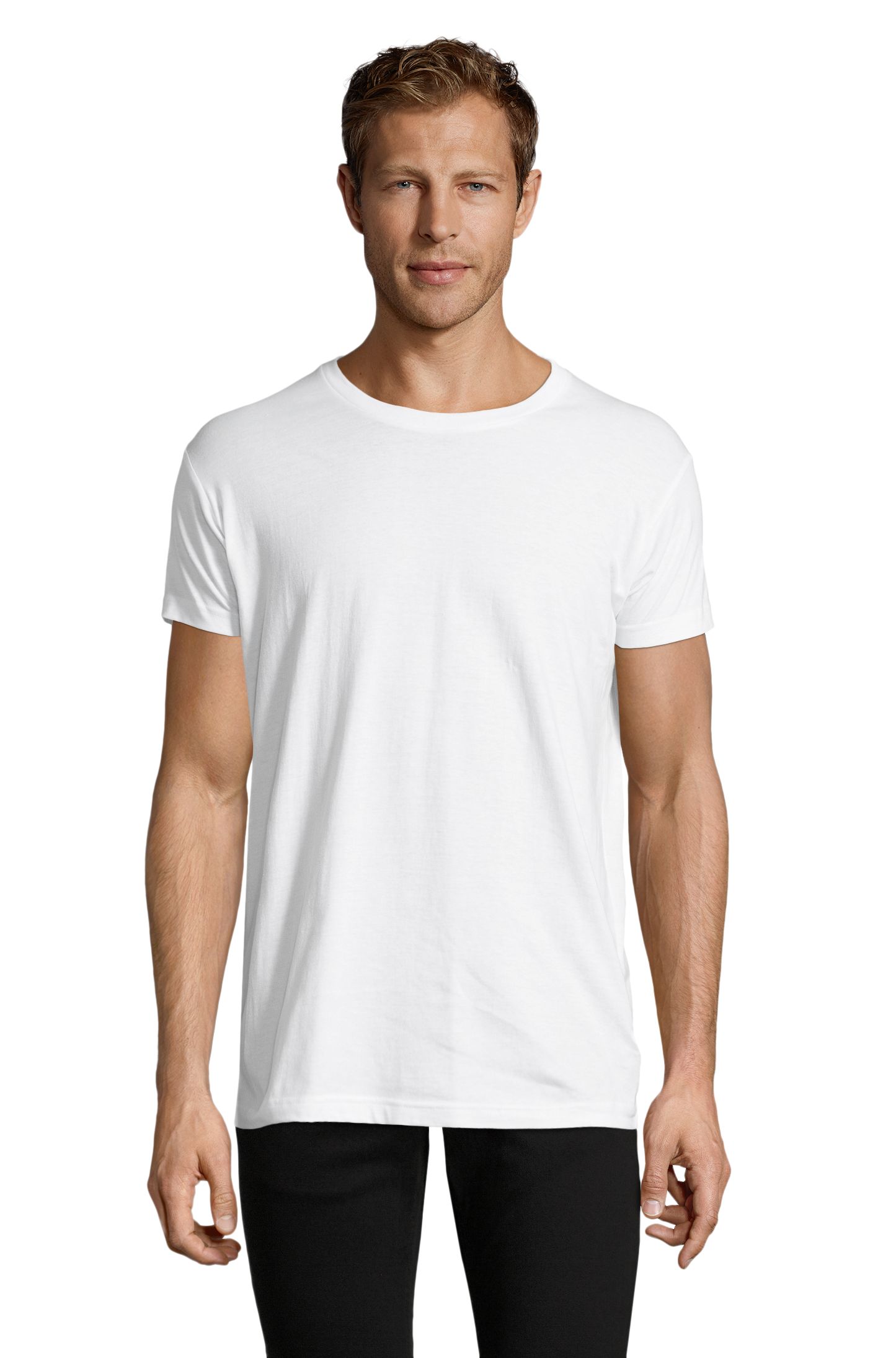 Regent Fit - 102 - WIT