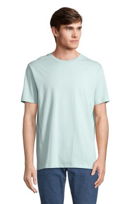 LEGEND - 199 - ARCTIC BLUE