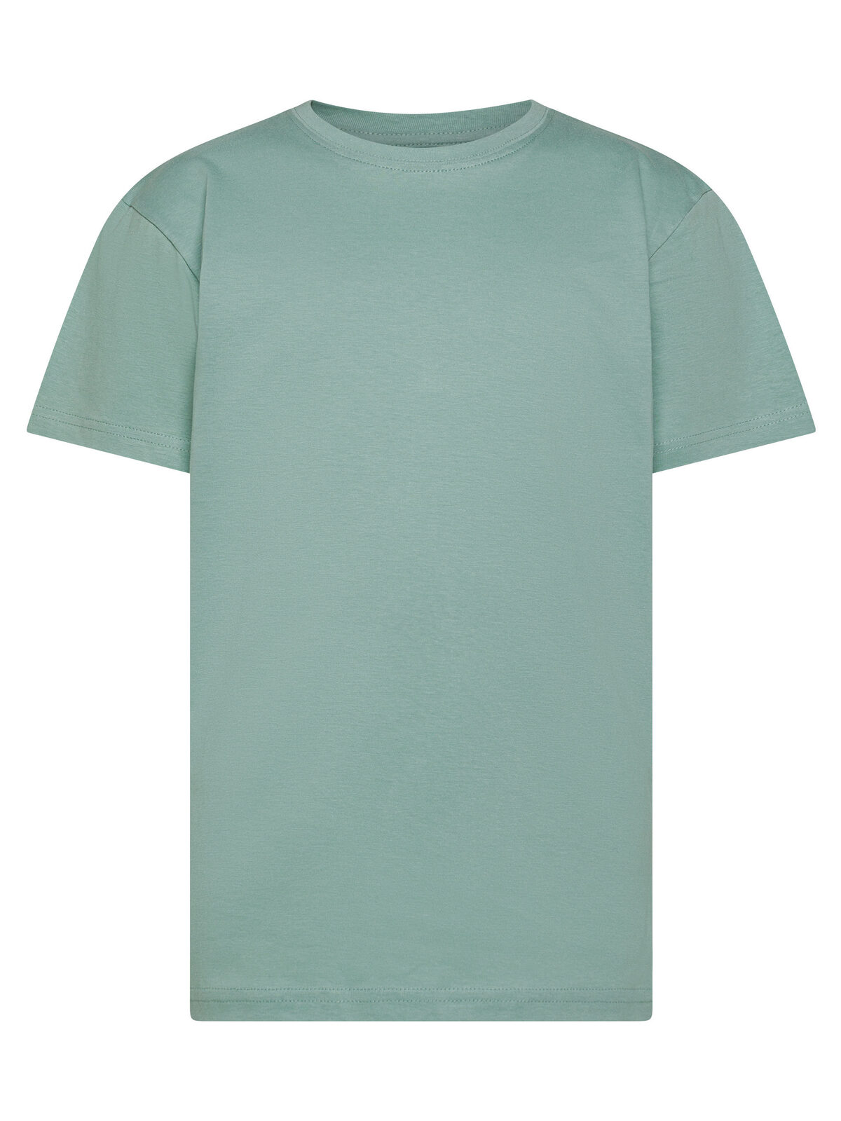 Evolution T-shirt Children - SA - Sage