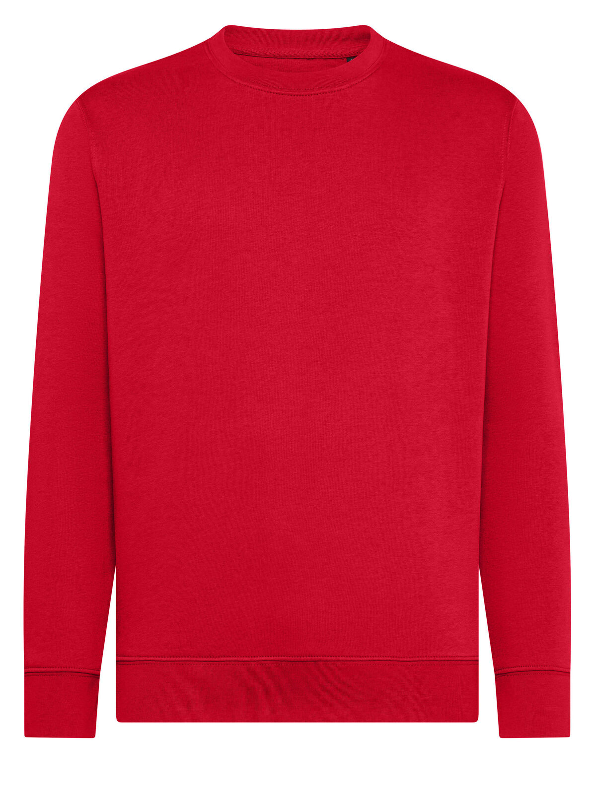 Ginger - RD - RD-RED