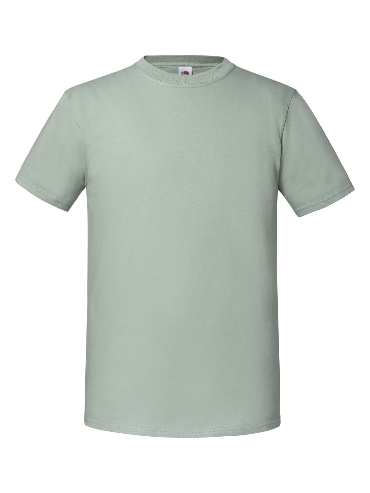 Iconic 195 Ringspun T - JS - Sage