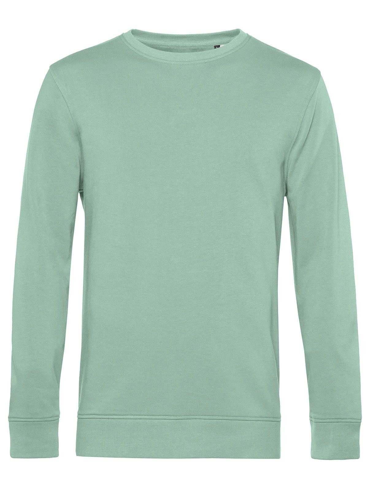 Inspire Crew Neck Sweater_° - SA502 - Sage